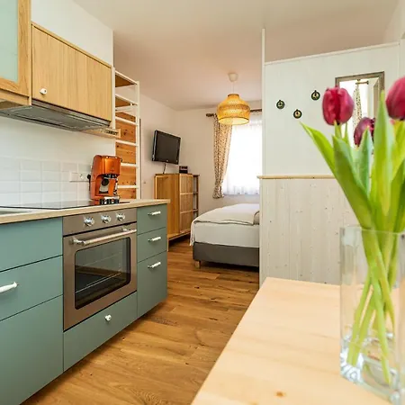 Apartman Tonis Bad Goisern