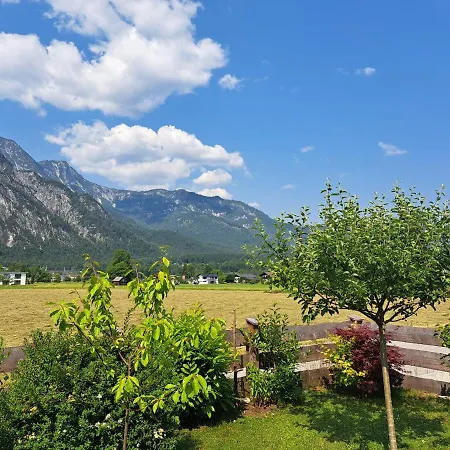 Tonis Apartment Bad Goisern