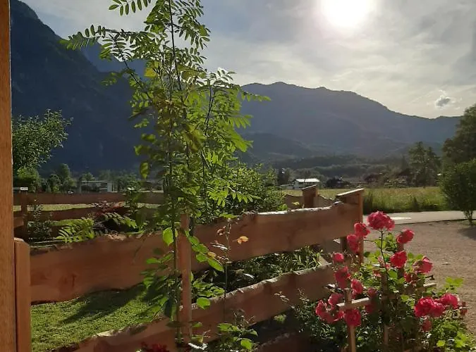 Tonis 바드고이세른