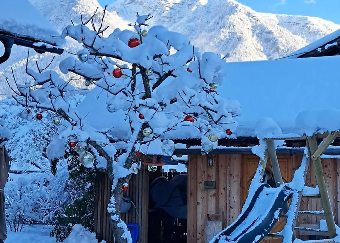Tonis Bad Goisern am Hallstättersee